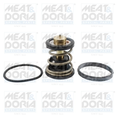 Thermostat, coolant